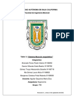 Taller 2 - Sistema Musculo Esquelético