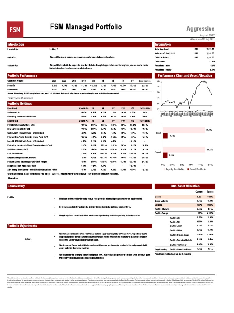 Portfolio Performance Analysis 2022 | PDF | Investing | Asset Allocation