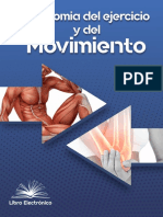 Anatomía muscular: planos, movimientos y mecánica