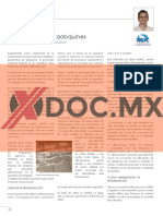 Xdoc - MX Eflorescencia en Adoquines