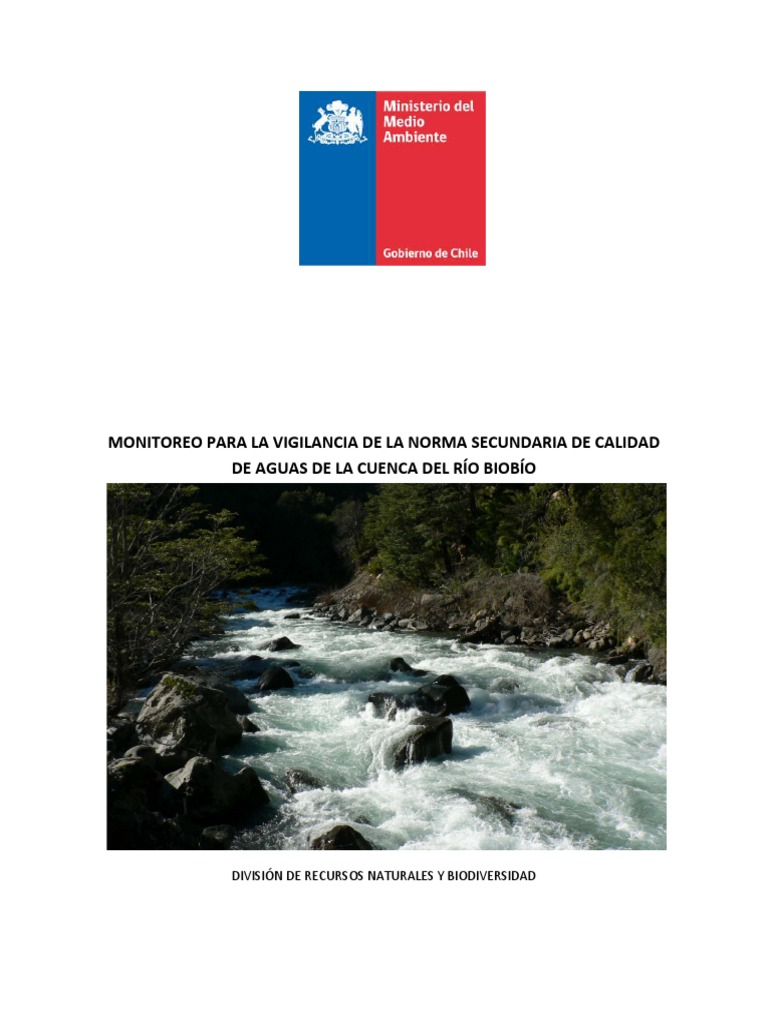 Informe 2016 Cuenca Río Biobío | PDF | Río | Entorno natural