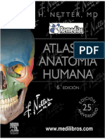 Atlas de AnatomÃ A Humana de Netter (6Â° EdiciÃ N) - Biblioteca REMEDIAR