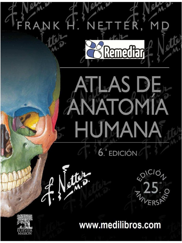 Atlas de AnatomÃ A Humana de Netter (6Â° EdiciÃ N) - Biblioteca ...