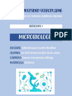 Bitácora 1-Microbiología-Luz