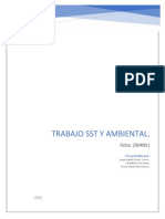 Trabajo SSTy Ambiental