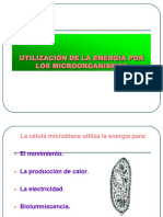 Utilizacion de Energia Por Los Microorganismos