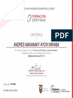 EFTHISS - Derechos de Pueblos - Certificado