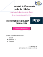 PRÁCTICAS. Histología