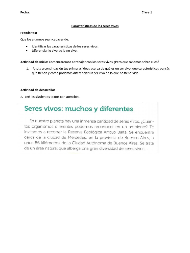 Clasificacion de Los Seres Vivos - 4to Grado | PDF | Plantas | Hongo