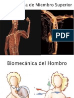 02 Biomecánica de Miembros Superiores