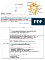 Brain Stem Part 1