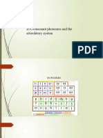 IPA consonant phonemes articulatory system