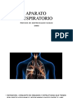 Aparato Respiratorio