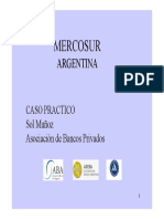 Taller Caso Sector Financiero Privado-CPLDFT - Mercosur 2008