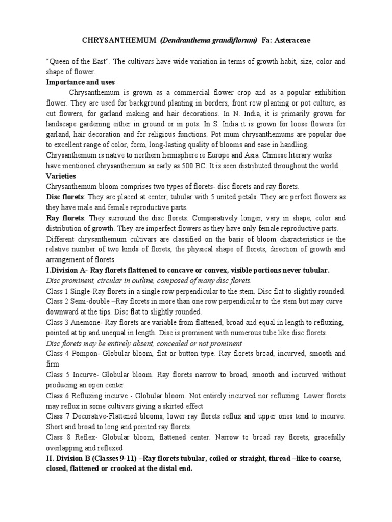 Chrysanthemum PDF Organisms Branches Of Botany