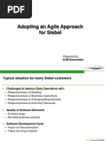 Agile For Siebel