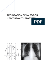 Inspeccion de La Region Pre Cordial