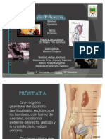 Sindromes Prostaticos