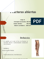 Fracturas abiertas