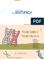 Telómeros y Telomerasas
