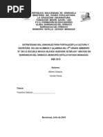Download PROYECTO Estrategias Fortalecer Lectura y Escritura by Monik Kiss SN59088510 doc pdf
