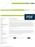 IB Biology Notes - 34 DNA Replication
