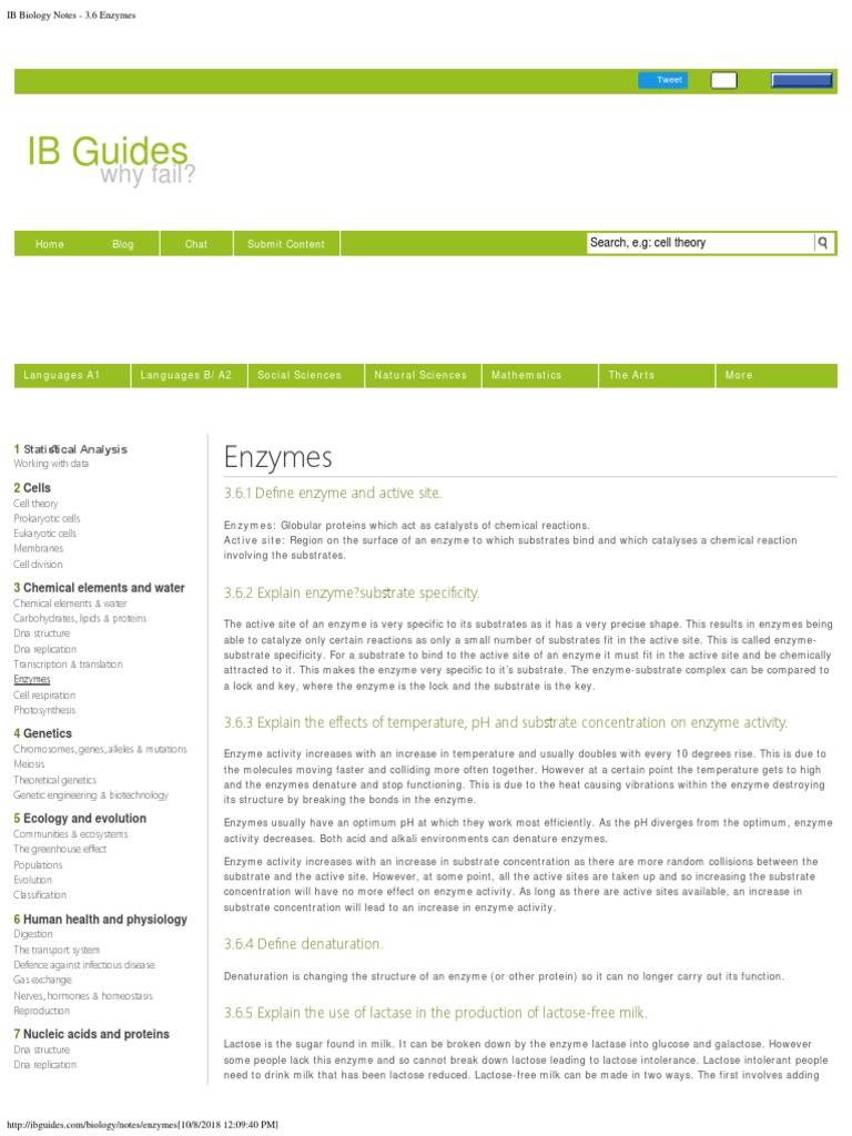 IB Biology Notes 36 Enzymes PDF Enzyme Cell (Biology)