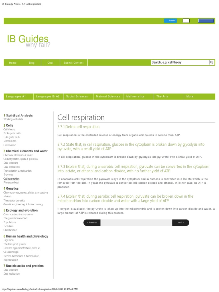 IB Biology Notes - 37 Cell Respiration | PDF | Cellular Respiration ...