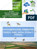 Contaminación Ambiental