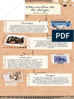 Infografía de Proceso Proyecto Collage Papel Marrón