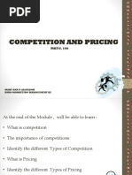 Competition and Pricing Mary Ann Report (1) - 1