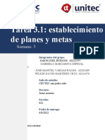 Tarea 3.1 Metas y Planes Grupal