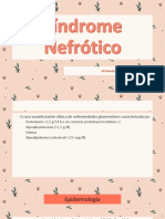 Síndrome Nefrótico-1