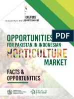 Opportunities For Pakistan in Indonesian