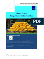 Rahim Yar Khan Mango Cluster Profile