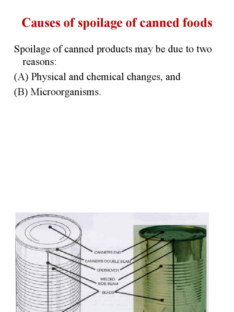 Causes of Spoilage of Canned Foods2 PDF Leak Iron