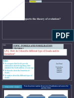 Y6 Week 5 Fossils PPT 1 - Revision - Updated 1-1