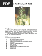 Download APOTIK  HIDUP by Agunk Rj II SN59098957 doc pdf