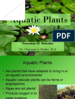 3 Aquatic Plants