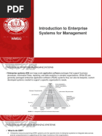 Lesson 1-Introduction To Enterprise Systems For Management