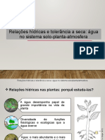 AULA 1-Relações Hídricas e Tolerância A Seca