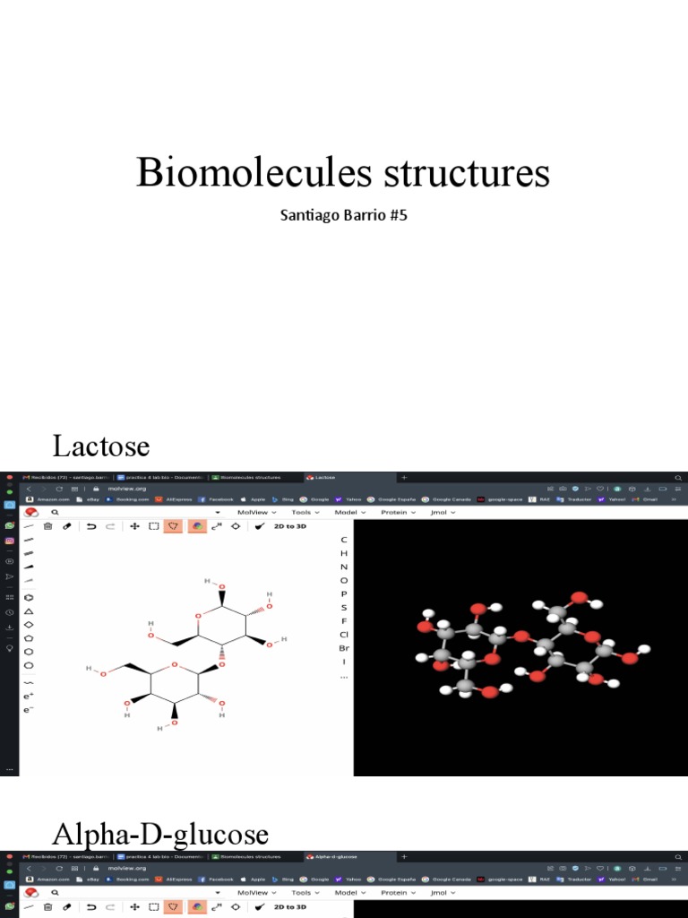 Biomolecules Structures PDF