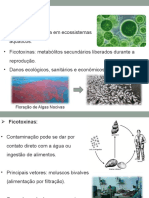 Resumo Ficotoxinas