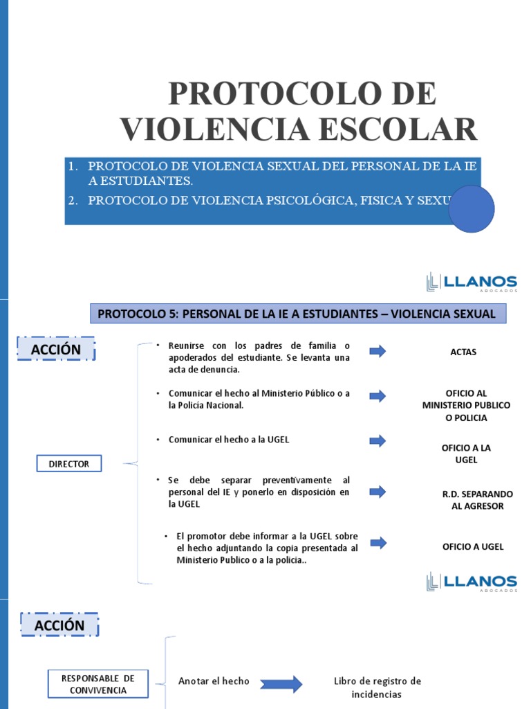 Protocolo de Violencia Escolar | PDF | Policía | Derechos humanos