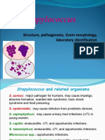 Practical 4 Staphylococci Presentation