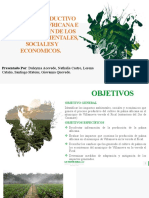 PROCESO PRODUCTIVO DE LA PALMA AFRICANA E IDENTIFICACÓN