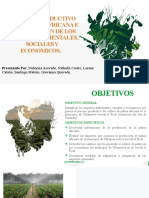 Proceso Productivo de La Palma Africana e Identificacón