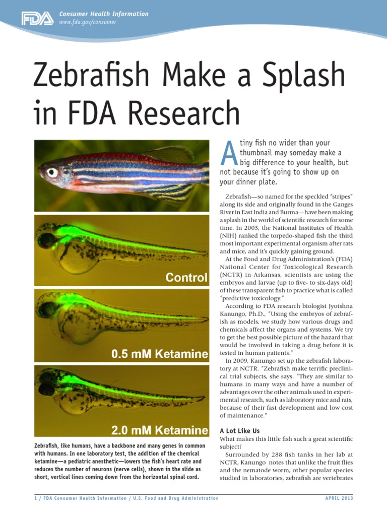 Zebrafish 0413 PDF Food And Drug Administration Fish