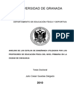 Analisis de Los Estilos de Enseñanza Utilizados Por Los Profesores de Educacion Fisica Del Nivel Primaria