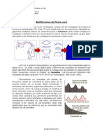 Apunte de Estudio - Modificaciones Del TV y Caracterización Perceptual de La Voz